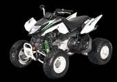 2009 Arctic Cat 300 DVX photo